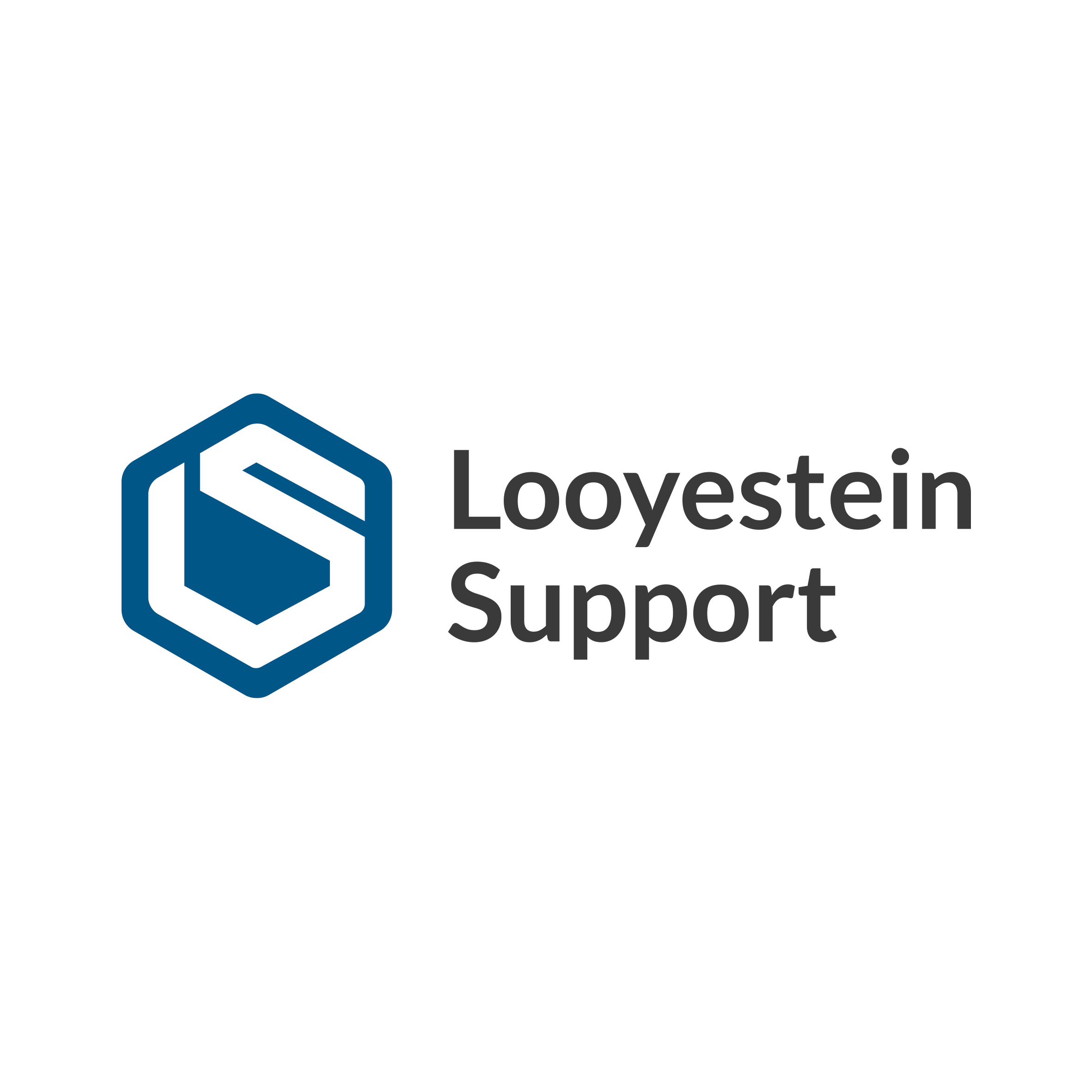 Looyestein Support
